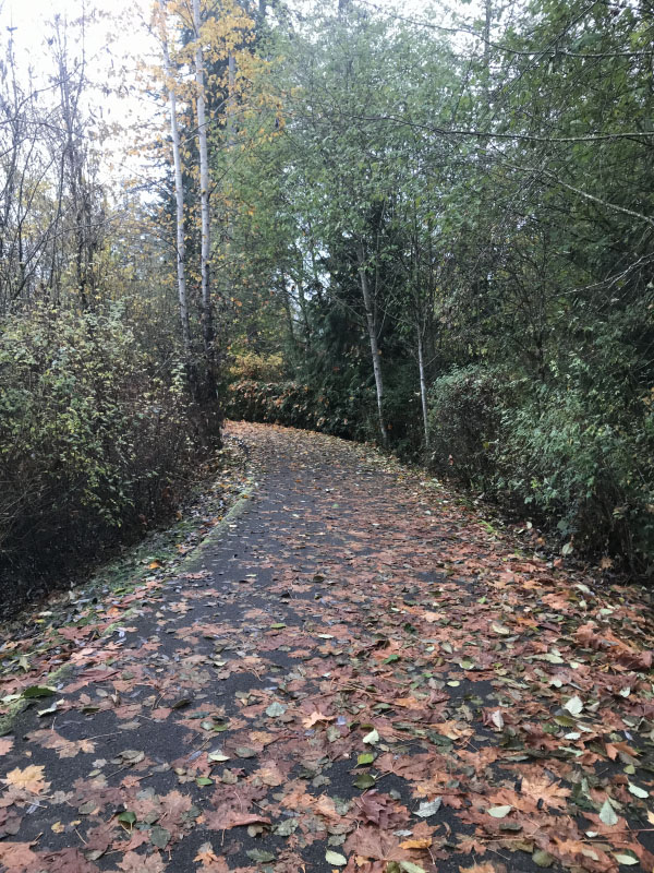 CIM Training Week 13