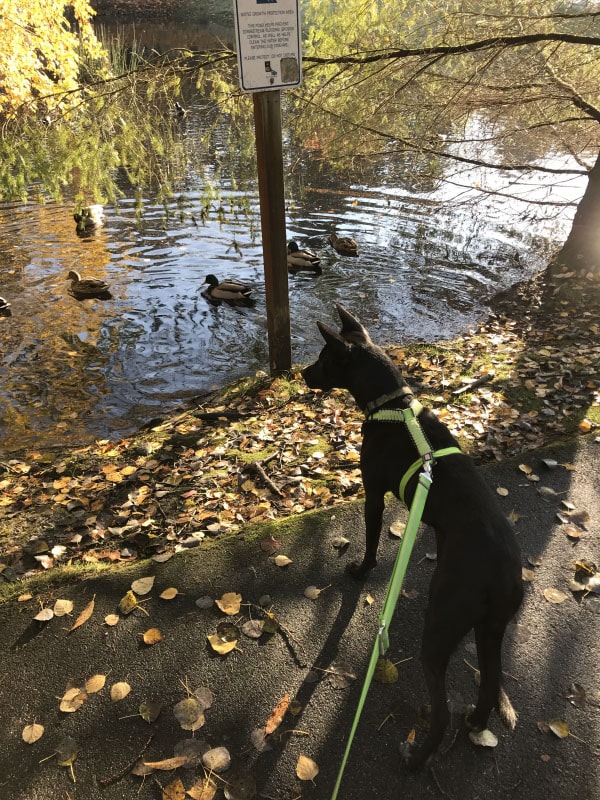 CIM Training Week 13
