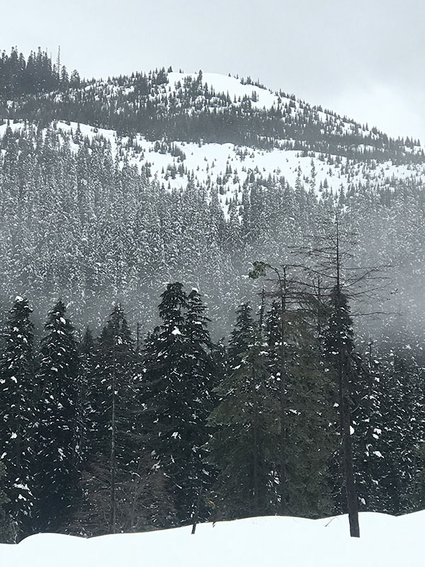 Mile Markers: Out in the Elements