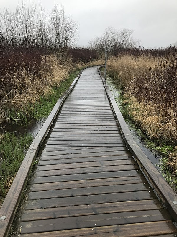 Mile Markers: Transition