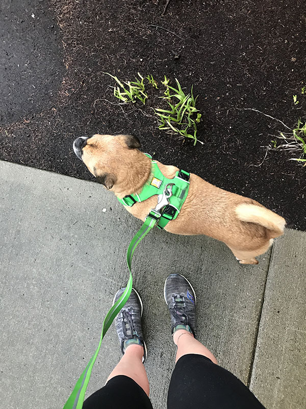Mile Markers: Dial Down Week