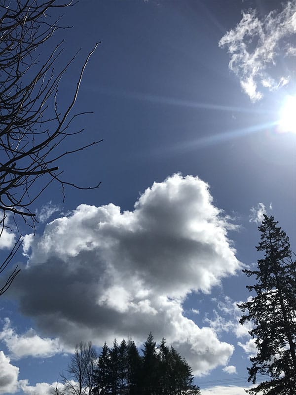 Currently Spring 2018