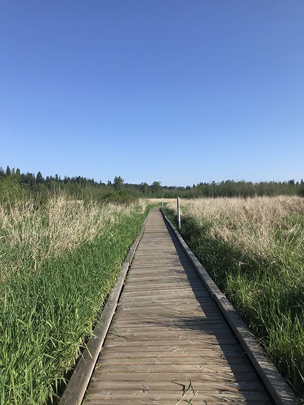 Mile Markers: Half Marathon PR