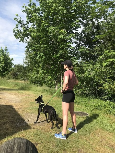 Mile Markers: Juneary