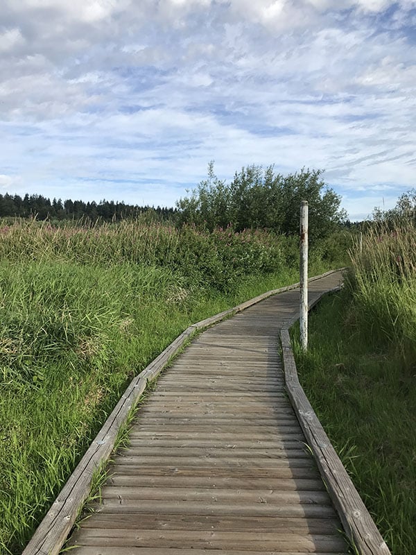 Mile Markers: Running through Sunshine