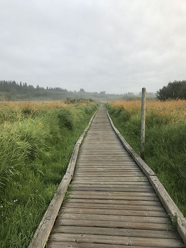 Mile Markers: Running Through a Haze
