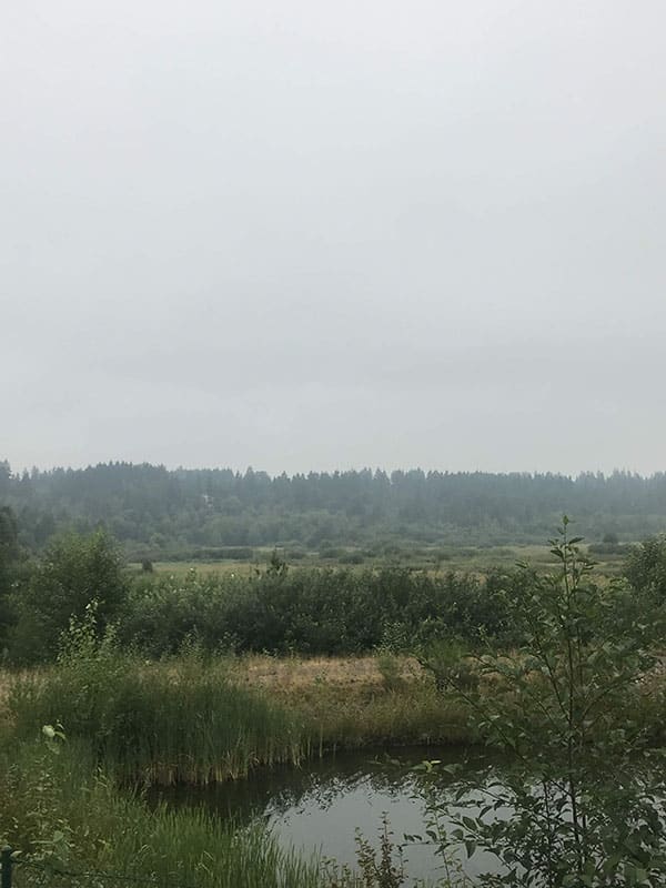 Mile Markers: Running Through a Haze