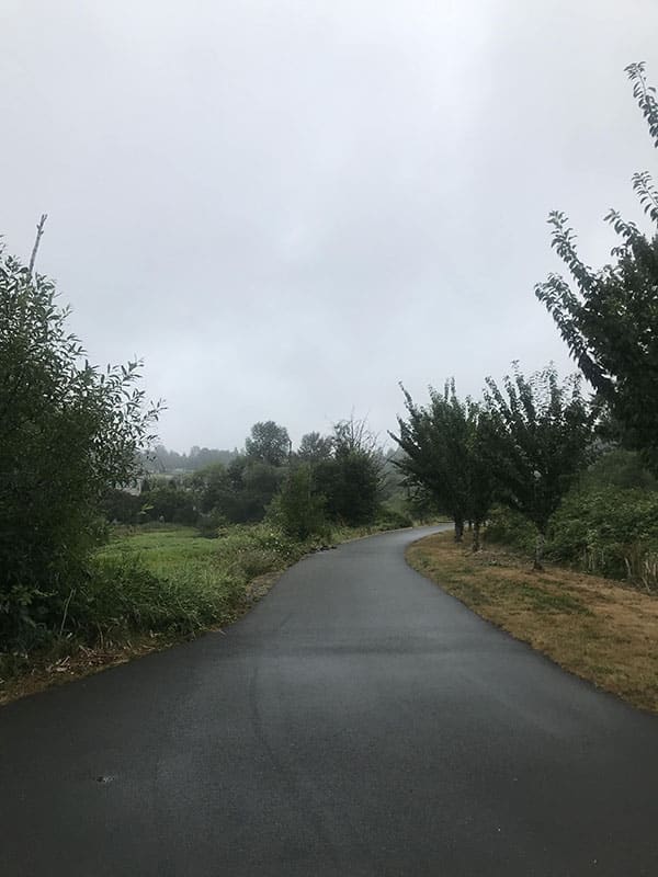 Mile Markers: A Week of Humid Runs