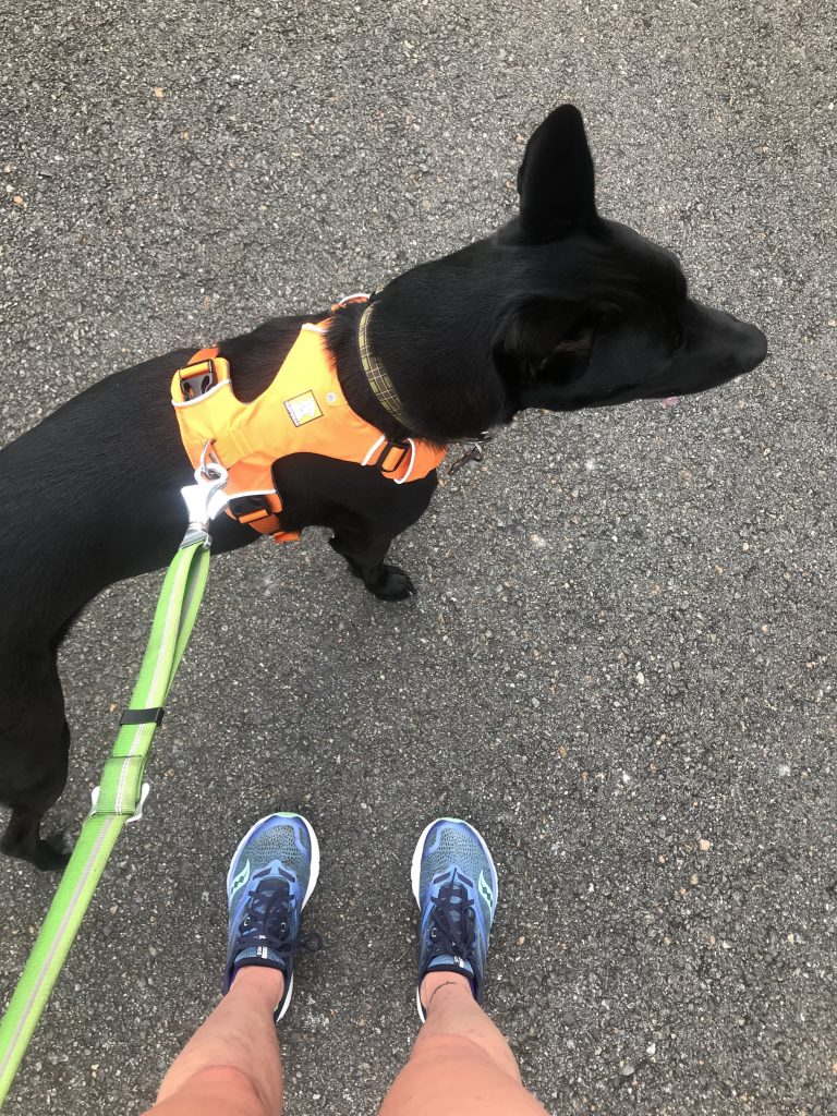 Mile Markers: Back on Track
