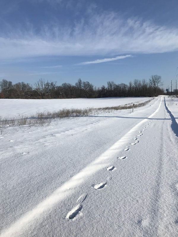 Mile Markers: Polar Vortex