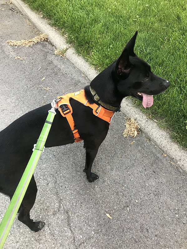 Mile Markers: Summertime Cold