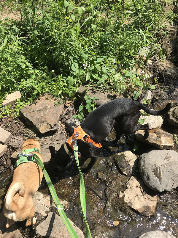 Mile Markers: 32 Weeks and Counting