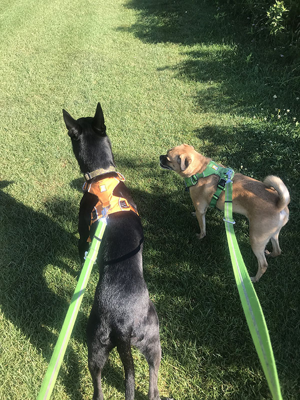Mile Markers: The Magic of 30 Minutes