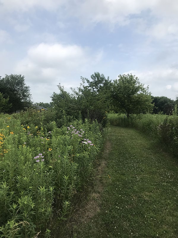 Mile Markers: The Magic of 30 Minutes