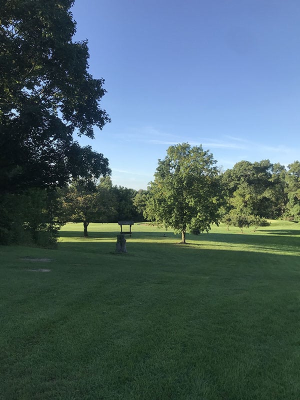 Mile Markers: 36 Weeks Pregnant
