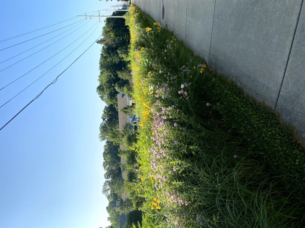 Weekly Workouts: Covid-19