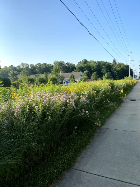 Weekly Workouts: Covid-19