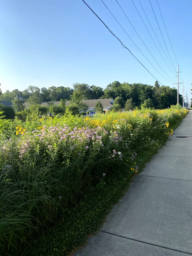 Weekly Workouts: Covid-19